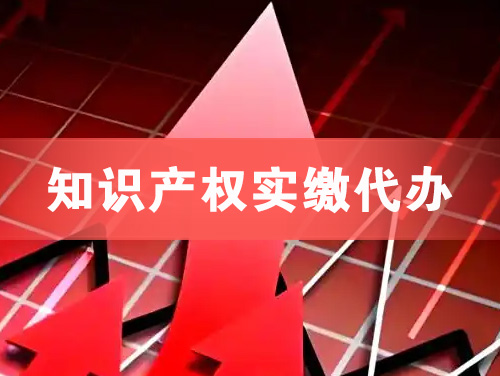 泰安知识产权实缴资本代办